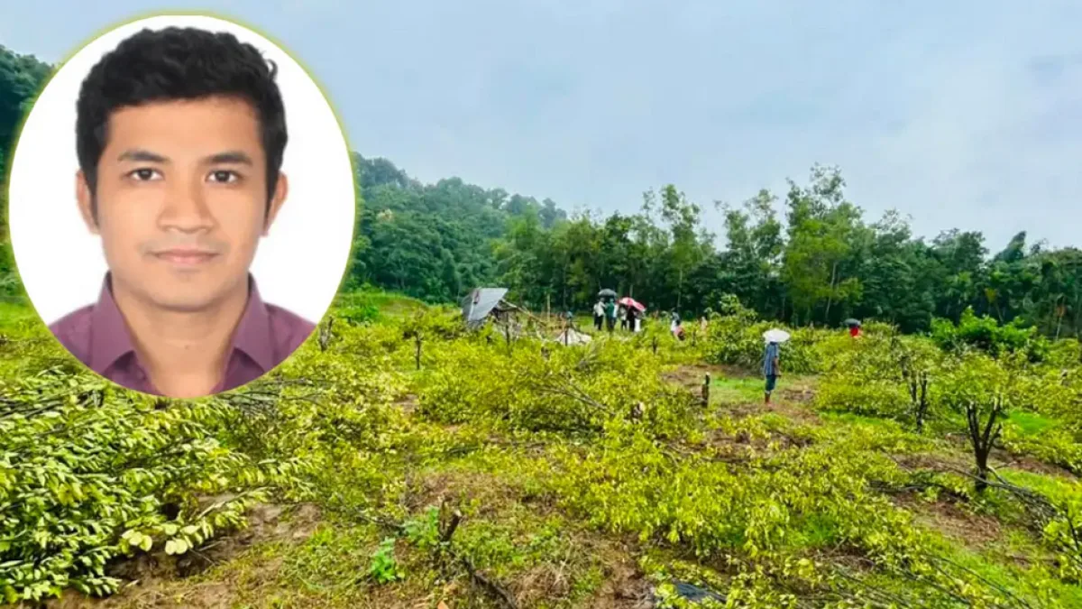 Forest Range Officer Transferred After Felling of 1,200 Orange Trees in Moulvibazar