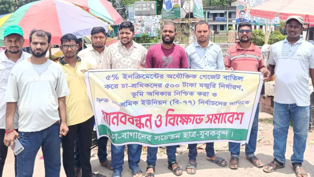 Tea Workers Hold Human Chain in Kamalganj Demanding Tk 500 Daily Wage