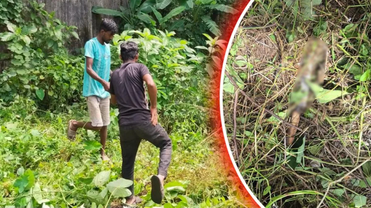 Sylhet Triple Murder: Knife Used in Killings Recovered
