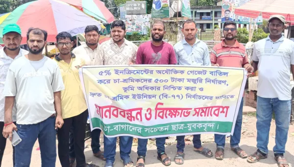 Tea Workers Hold Human Chain in Kamalganj Demanding Tk 500 Daily Wage