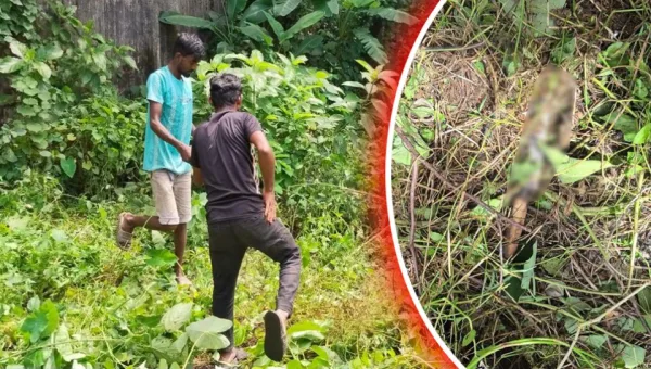 Sylhet Triple Murder: Knife Used in Killings Recovered